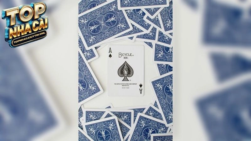 Game Tài Xỉu Đổi Thưởng – Thách Thức Và Giành Phần Thưởng