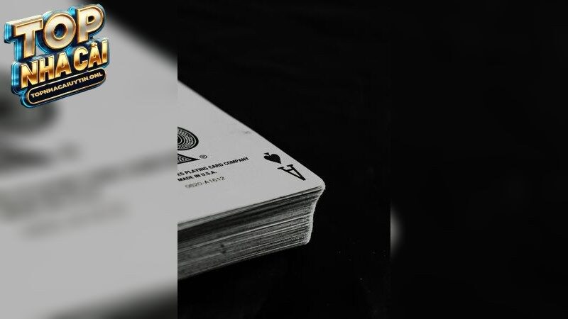 jbo – Hấp dẫn mọi cuộc chơi cược 2025