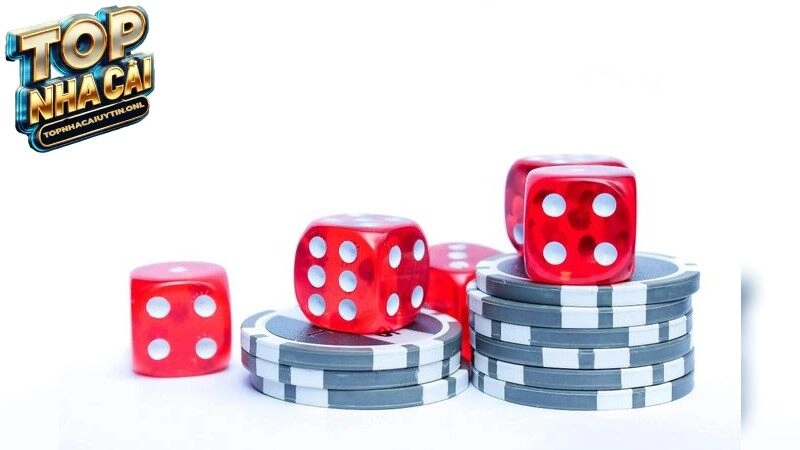 Nhà Cái Tặng Code – Mốt Mã Khuyến Mãi Hấp Dẫn