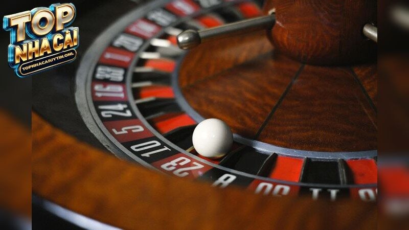 Những Nhà Cái Châu Á Tốt Nhất Cho Người Mới Bắt Đầu