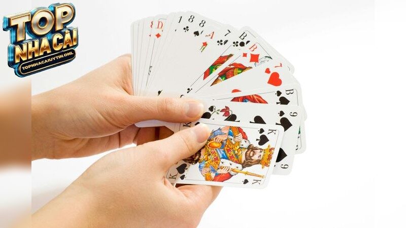 shbet – Bùng nổ cảm giác cá cược mới 2025