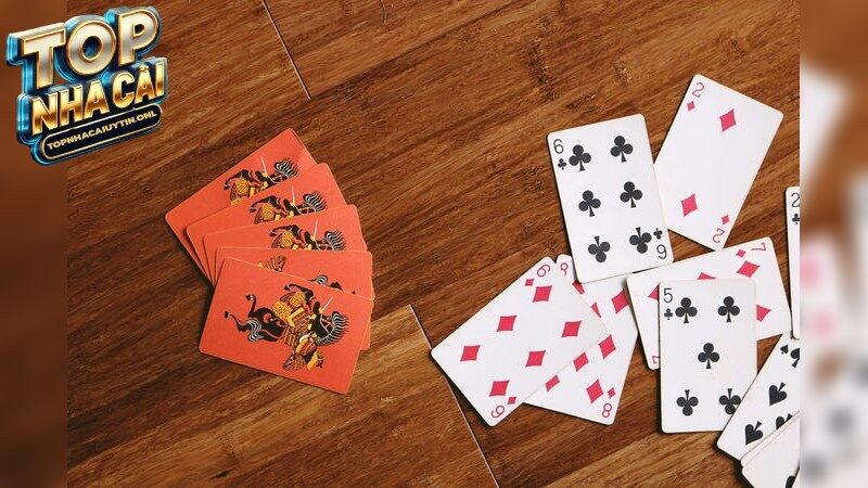 Top nhà cái cá cược uy tín hàng đầu